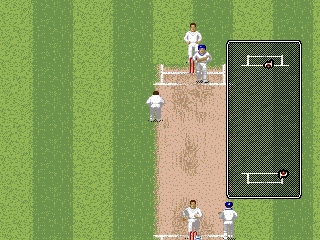 Brian Lara Cricket '96 screenshot for MD PAL