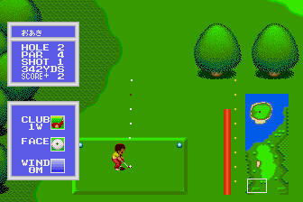 Winning Shot screenshot for PCE